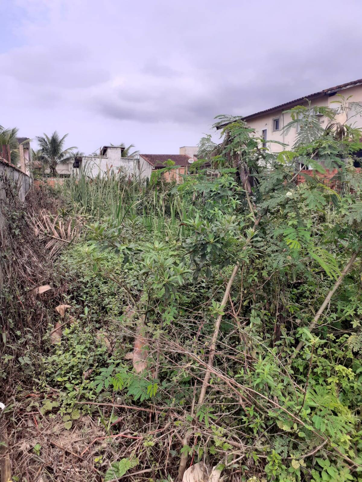 #89 - Área para Venda em Bertioga - SP