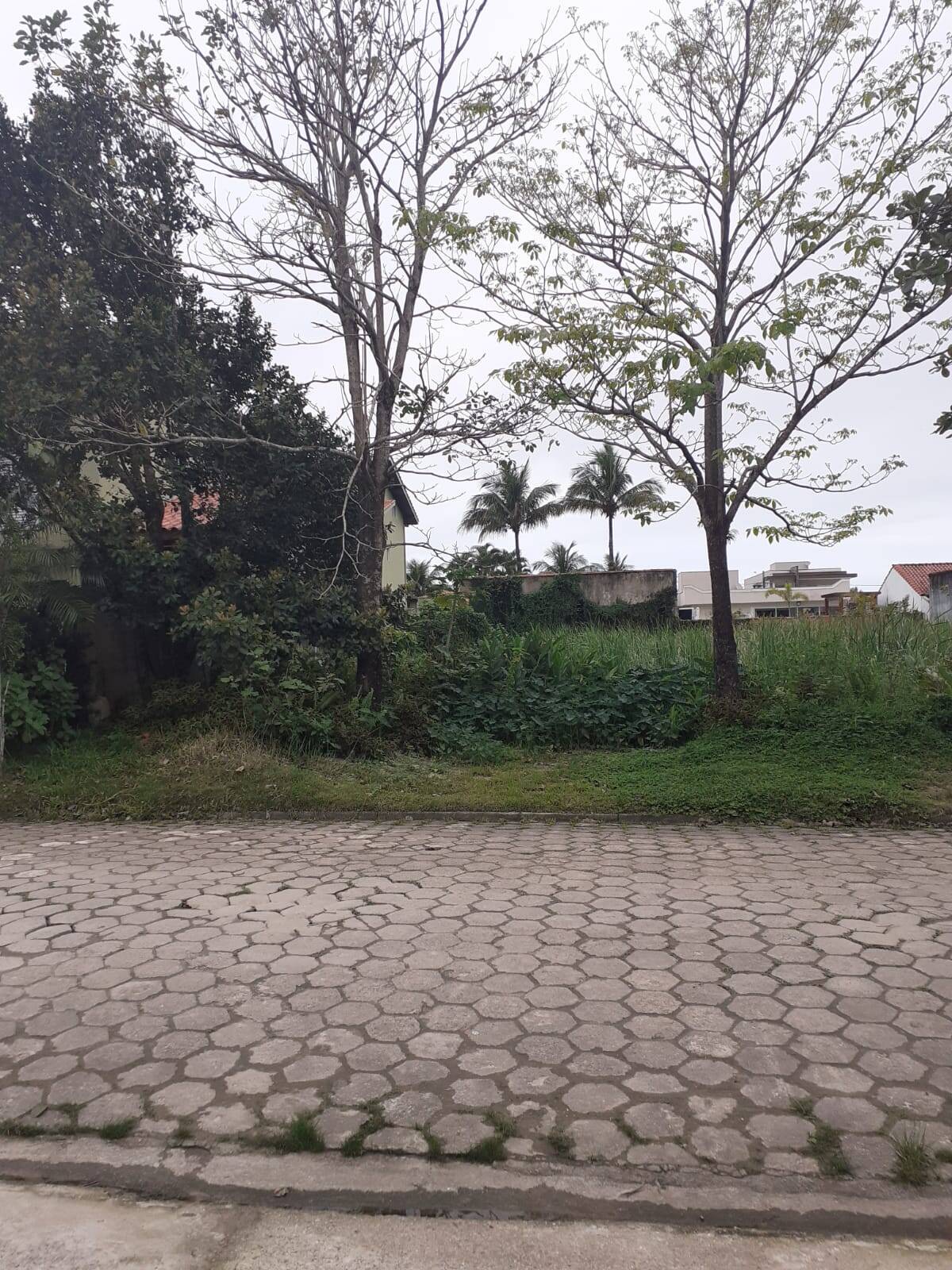 #91 - Área para Venda em Bertioga - SP