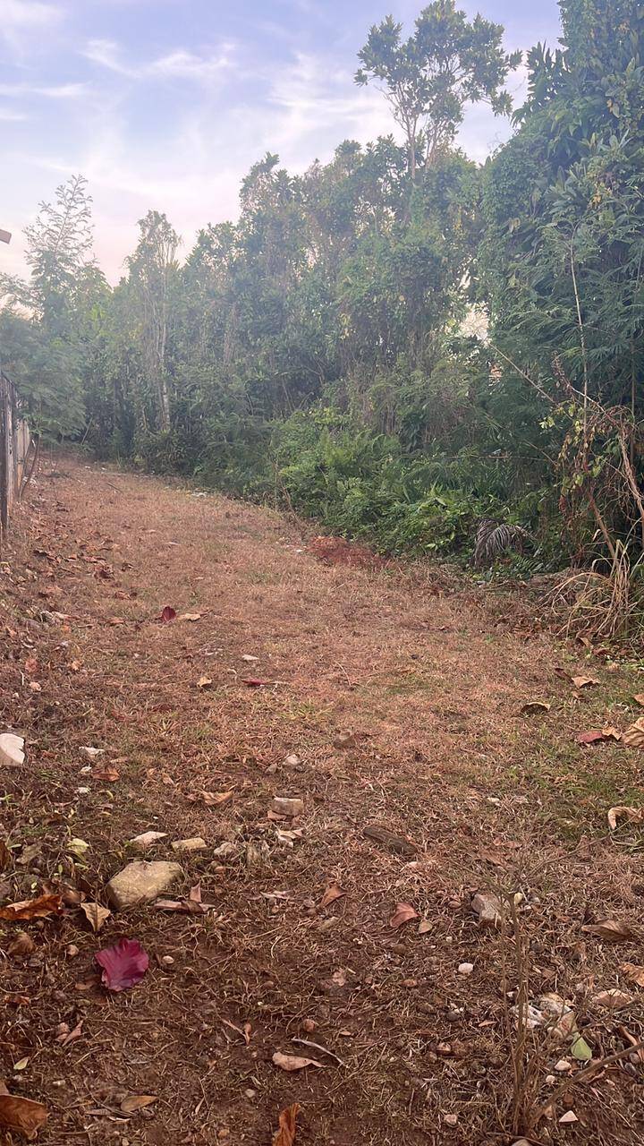 #329 - Área para Venda em Bertioga - SP