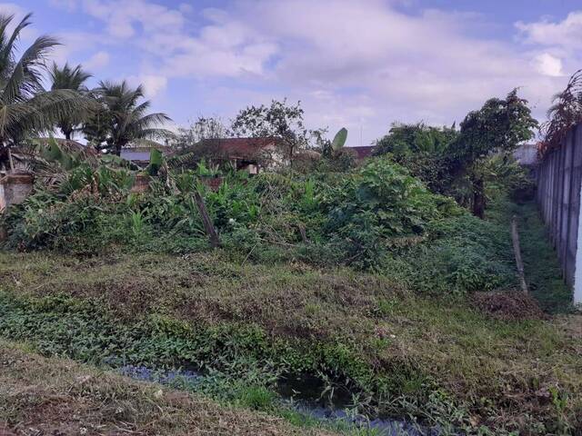 Área para Venda em Bertioga - 5