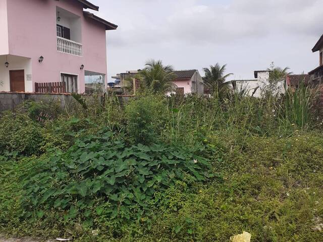 Área para Venda em Bertioga - 3
