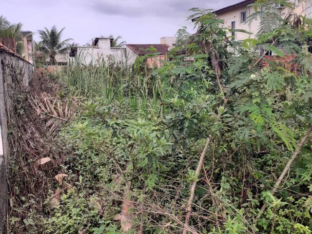 Área para Venda em Bertioga - 4