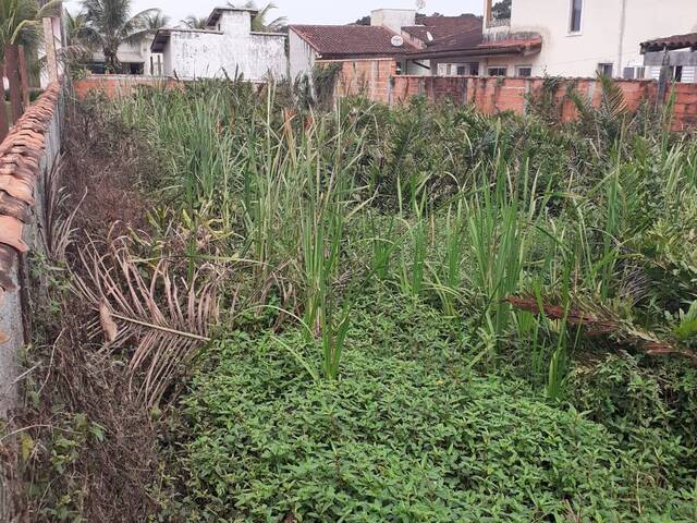 Área para Venda em Bertioga - 5