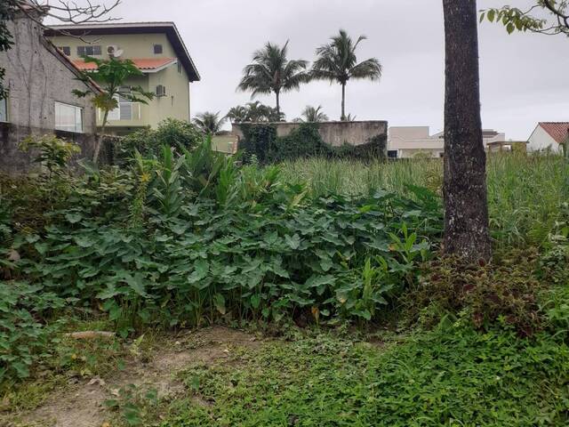 Área para Venda em Bertioga - 4