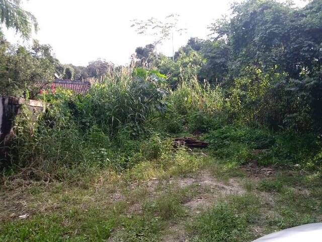 Área para Venda em Bertioga - 1
