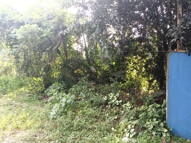 Área para Venda em Bertioga - 3