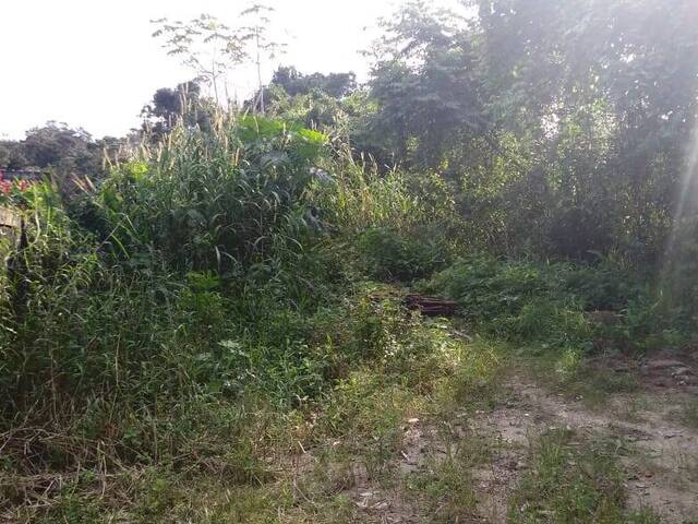 Área para Venda em Bertioga - 5