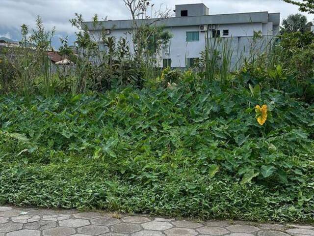 #186 - Área para Venda em Bertioga - SP