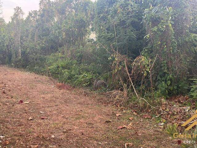 #329 - Área para Venda em Bertioga - SP
