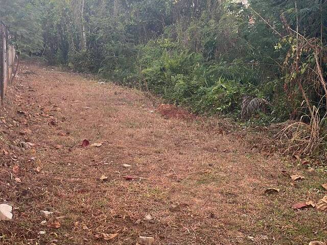 #329 - Área para Venda em Bertioga - SP