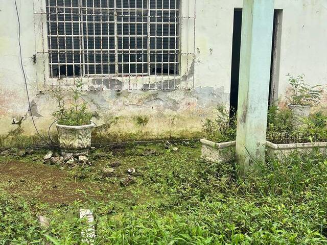 #353 - Área para Venda em Bertioga - SP