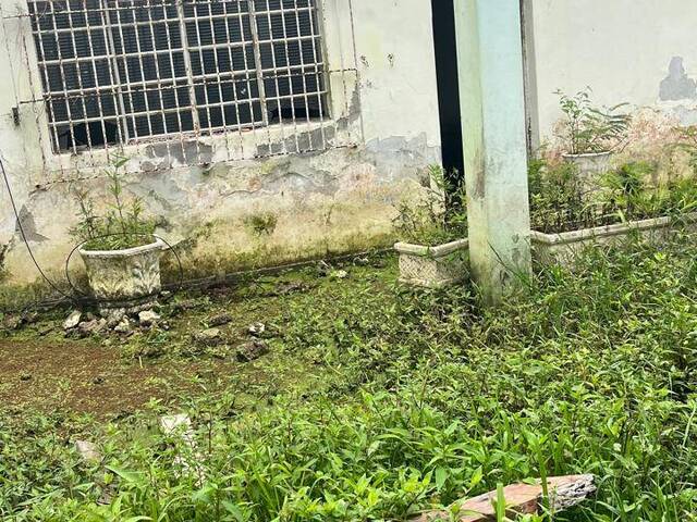Área para Venda em Bertioga - 4